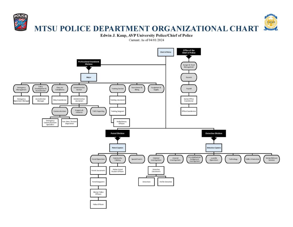 org chart